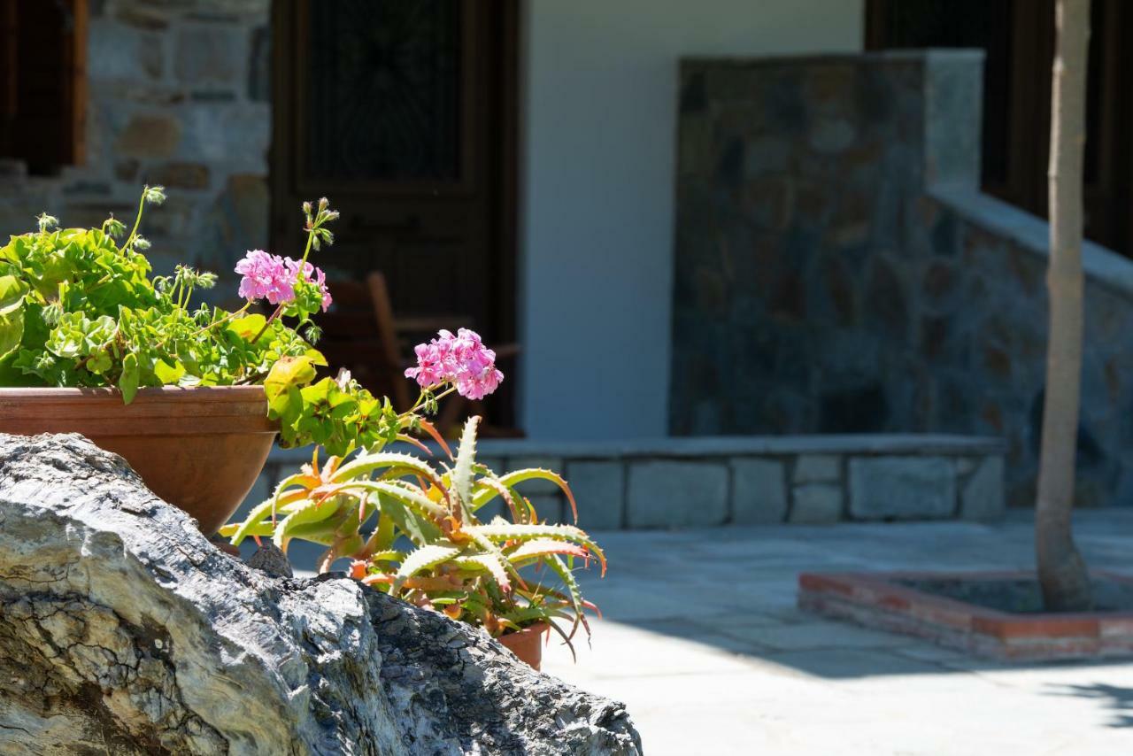 沃尔沃罗Garden House Psarogiannis公寓 外观 照片